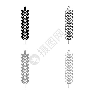 小麦的尖植物分支图标大纲设置黑色灰矢量插图平板风格简单像图片