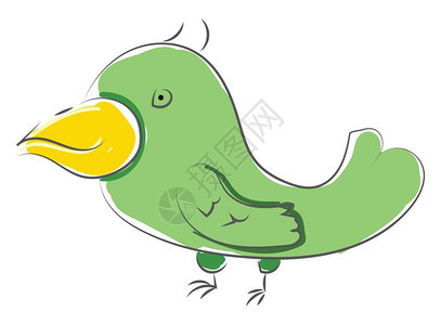 长的绿鸟黄嘴矢量彩色图画或插背景图片