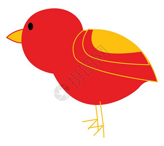 一只可爱的红鸟有黄嘴矢量彩色画或插图图片