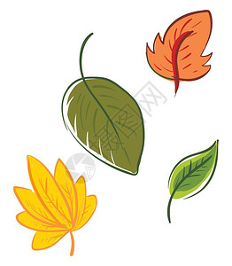 四个不同形状的多色卡通叶子代表秋季节矢量颜色图或插图片