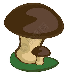 可爱妈和婴儿卡通漫画蘑菇站在绿地上戴深褐色帽子棕干叶矢量彩图画或插图片