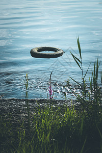 旧轮胎位于水海岸线环境污染中图片