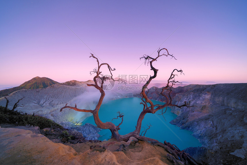 日出时在KawahIjen火山和绿松石硫湖的木无叶树上印度尼西亚东爪哇全景自然观背图片