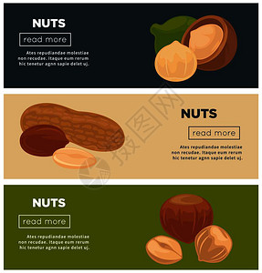 健康营养坚果促进互联网页模板卡通矢量插图图片