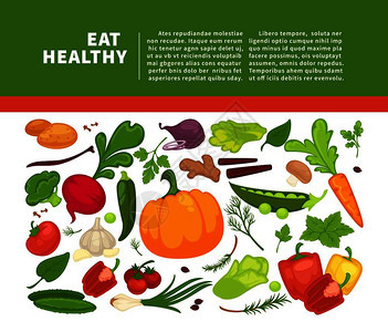 有机蔬菜食品海报图片