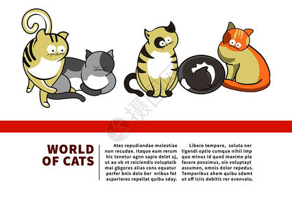 宠物商店的猫世界宣传标语卡通平面矢量插图图片