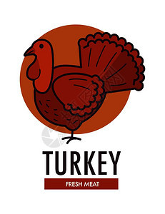 新鲜肉类促销标志型与大家禽在农场种植广告徽章图片