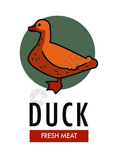 家禽鸭新鲜肉类商业标志的鸭子带软羽毛和红嘴唇的家禽贴在宣传徽章图片