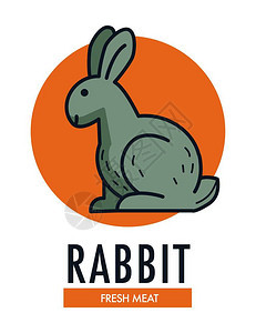 兔子新鲜肉类促销标志型与农畜一起在圆形广告徽章上可爱的小型哺乳动物和柔软的毛皮白色背景上的孤立卡通扁页矢量插图图片