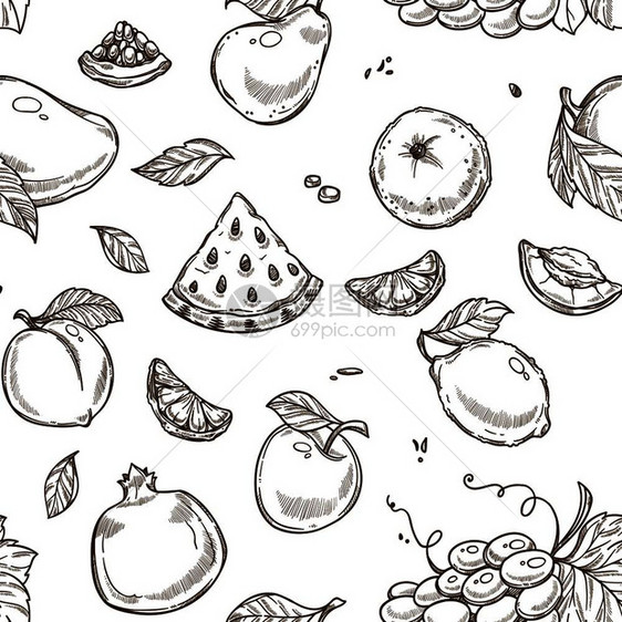 西瓜水果和苹含有叶片单色草图提纲无缝模式矢量有机食物和橙子葡萄桃杏梨富含维生素的石榴含有叶片形态矢量的西瓜水果和苹图片