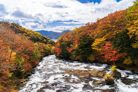 秋森林与流水向龙津瀑布其底是Chezenji湖日本NikkoTochigi图片