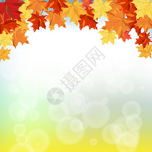 秋天背景含有梅叶矢量说明图片