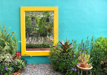 花园中装有饰植物的花装在后院庭的锅装饰中花园艺和蓝色墙底的黄窗户图片