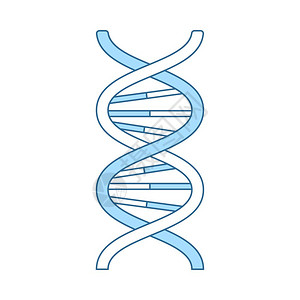 DNA蓝色填充设计薄线矢量说明高清图片