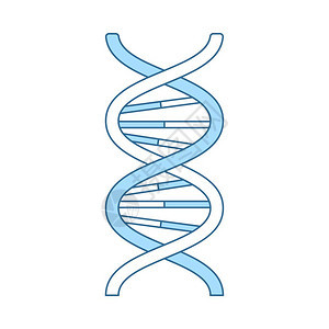 DNA蓝色填充设计薄线矢量说明图片