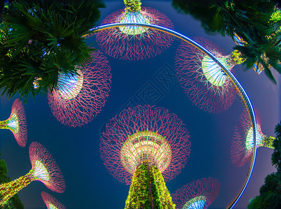 超级树林园晚上在新加坡市下城区MarinaBay区的海湾花园或户外人工植树背景图片