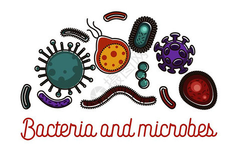 细菌和微生物海报图片