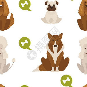 动物群包括小狗和公牛犬和纯种狗群小犬无缝模式在白种背景矢量上无缝模式图片