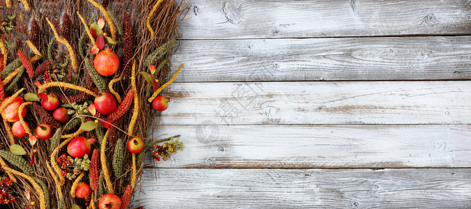 白锈木叶左侧的感恩节装饰图片