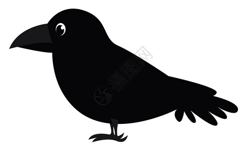 一个非常黑的乌鸦脂肪和小的矢量彩色画或插图图片