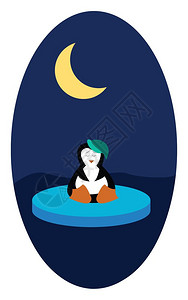 一只戴着绿色帽子的企鹅坐在半夜的浮冰上带着月亮矢量彩色画或插图图片