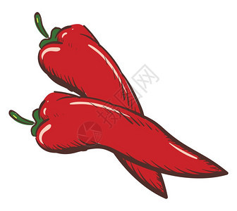 两种红辣椒矢量彩色绘画或插图图片