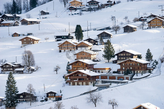 瑞士山丛林森滑雪胜地图片