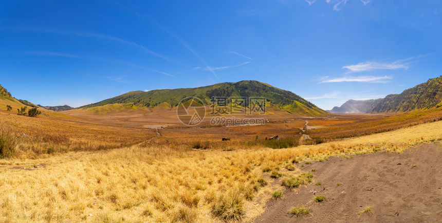 印度尼西亚东爪哇布罗莫火山溴稀树大草原远景图片