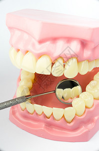 牙科护理概念的设备图片