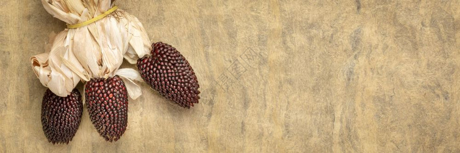带有复制空间秋节或收获概念长横幅格式的手工纸质树皮的装饰草莓玉米耳朵图片