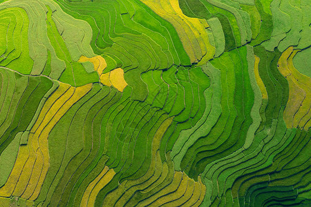 稻田梯农村或MuCangChaiYenBai农村地区绿田亚洲越南夏季山谷的空中最佳景象图片