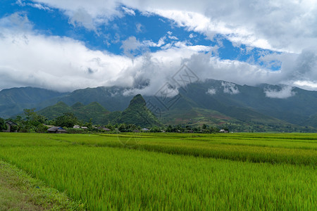 稻田梯MuCangChai农村或地区绿田YenBai越南亚洲日落时山丘谷自然景观背图片