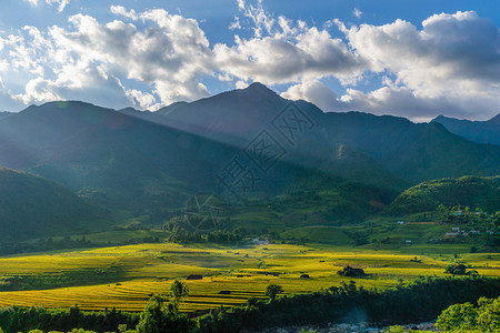 夏季的芬西潘山谷有稻田梯农村或地区绿色田旅行和假期概念越南萨帕自然景观图片