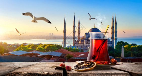 土耳其伊斯坦布尔的茶叶和蓝色清真寺及Bosphorus图片