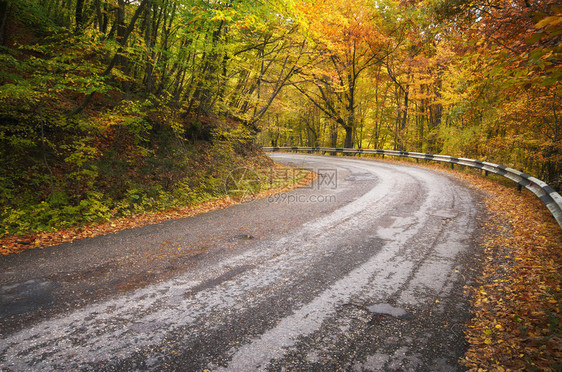 秋天木头的公路自然成分图片