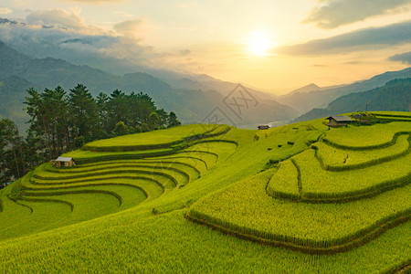 稻田梯MuCangChaiYenBai农村或地区绿色业田亚洲和越南日落时山峰谷的空中最高景象自然观背背景图片