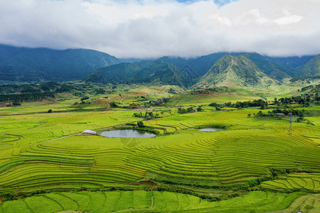 夏季Fansipan山区谷的空中景象有稻田梯农村地区的绿色田旅行和假期概念越南萨帕自然景观图片