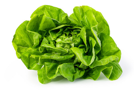 蔬菜或沙拉在白色背景中孤立图片