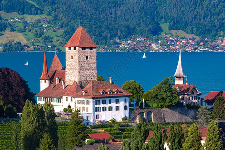 尼亚加拉湖滨小镇日落时瑞士伯尔尼州图恩湖岸边斯皮兹教堂和城堡的空中观察瑞士斯皮兹教堂和城堡瑞士斯皮兹教堂和城堡背景