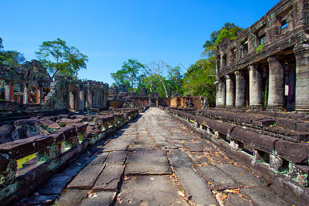 柬埔寨吴哥瓦寺庙的废墟图片