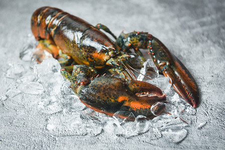 在海鲜餐厅的新龙虾贝类用于烹饪食品在黑石桌顶端的冰上生龙虾图片