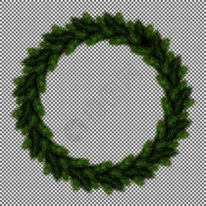 松树枝长青在透明背景矢量上隔离家服湿装饰象征圣诞以圆形式制作木林针枝松树长绿图片