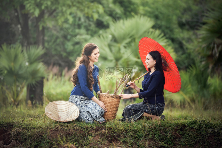 生活在年轻女孩着装部落的亚洲种植稻田女农民美丽妇女欢笑微肖像在农村庄中拿着红伞和收割农业篮子图片