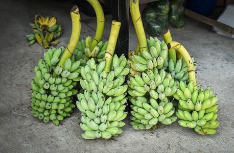 在当地市场销售的新鲜绿色香蕉图片