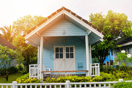 花园夏绿植物和树底的蓝色小屋图片