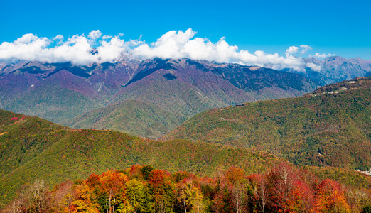 阳光明媚的秋天阿尔卑斯山的惊人空中风景图片