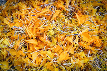Marigold花瓣纹理背景黄圆形花图片