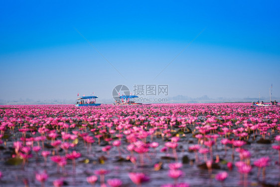 在泰国乌登萨尼UdonThani的清晨地标上图片