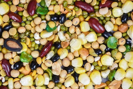 各种混合豆类农业种植天然健康食品作为烹饪原料不同整谷子混合豆类质料背景和类种子小扁和果多彩小吃图片