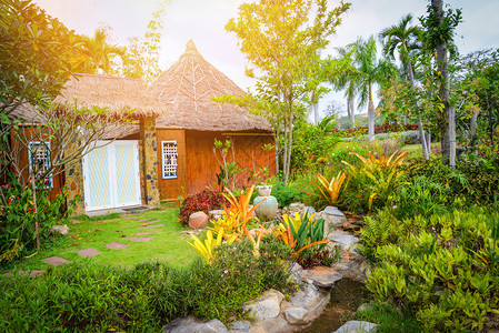 在前院装饰植物和花树用走道石装在池塘小屋花园背景上背景图片